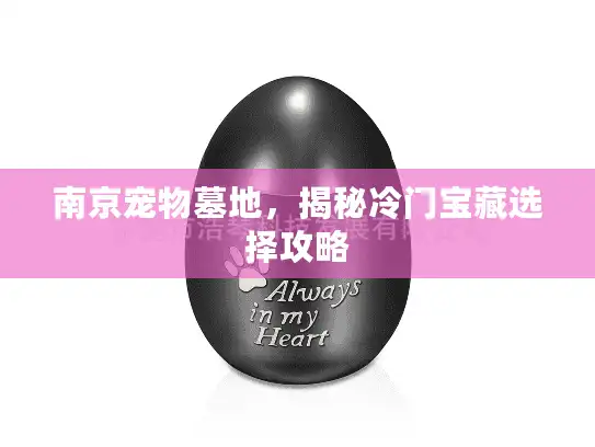 南京宠物墓地，揭秘冷门宝藏选择攻略
