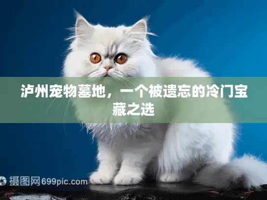 泸州宠物墓地，一个被遗忘的冷门宝藏之选