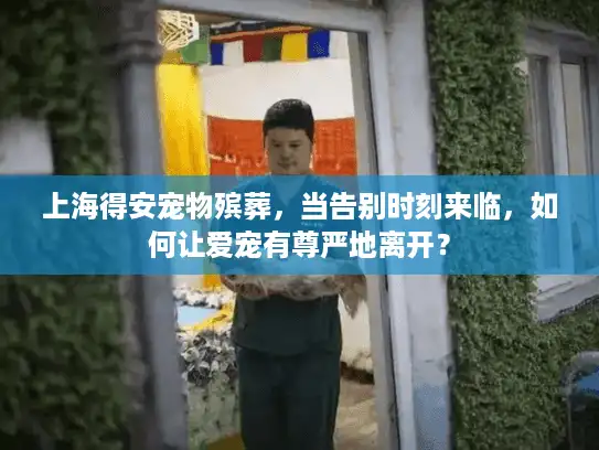 上海得安宠物殡葬，当告别时刻来临，如何让爱宠有尊严地离开？