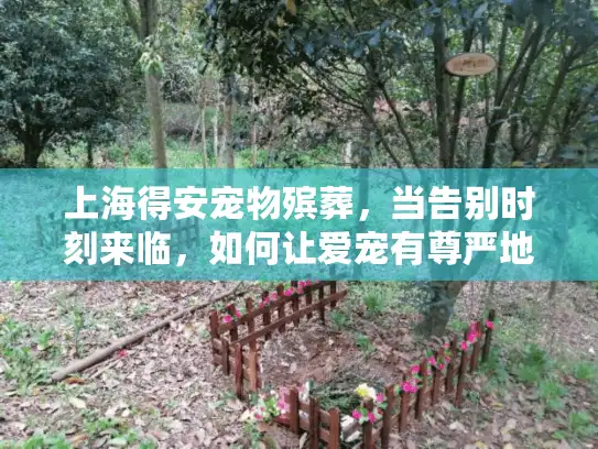 上海得安宠物殡葬，当告别时刻来临，如何让爱宠有尊严地离开？