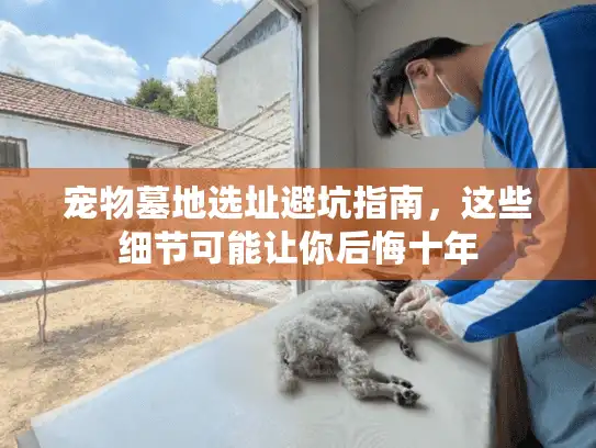 宠物墓地选址避坑指南，这些细节可能让你后悔十年