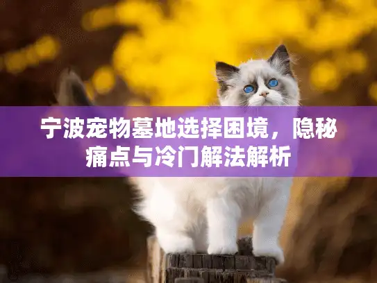 宁波宠物墓地选择困境，隐秘痛点与冷门解法解析