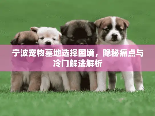宁波宠物墓地选择困境，隐秘痛点与冷门解法解析
