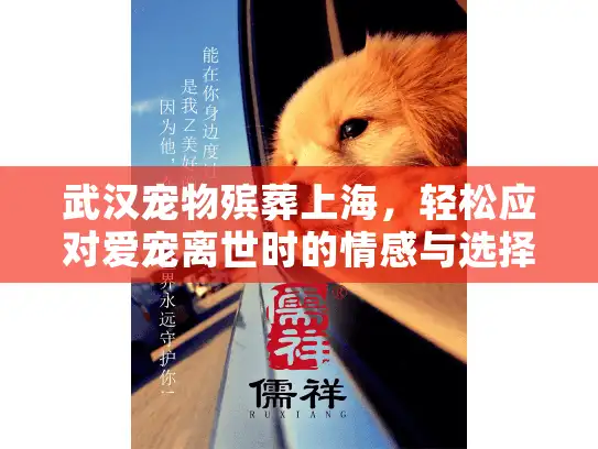 武汉宠物殡葬上海，轻松应对爱宠离世时的情感与选择难题