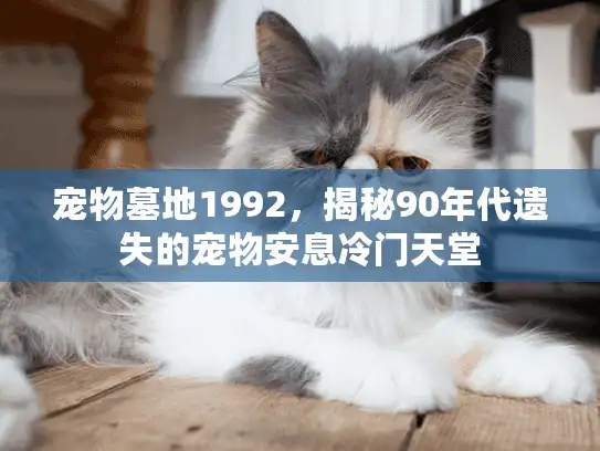 宠物墓地1992，揭秘90年代遗失的宠物安息冷门天堂