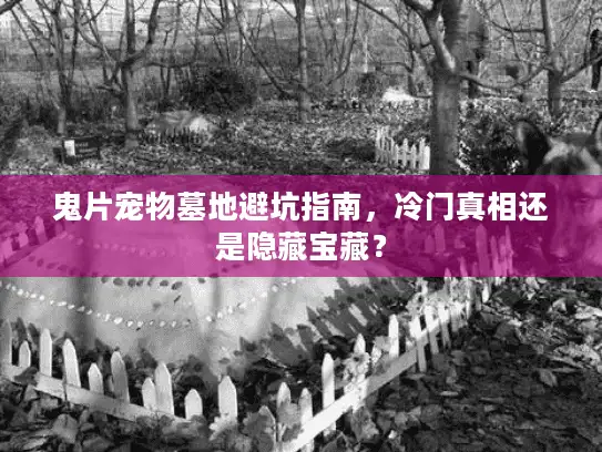鬼片宠物墓地避坑指南，冷门真相还是隐藏宝藏？