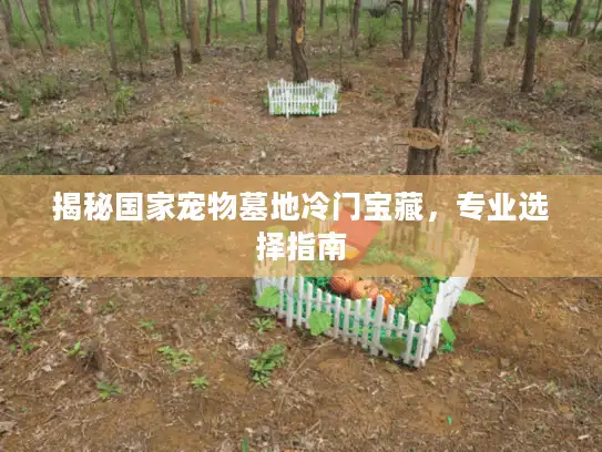 揭秘国家宠物墓地冷门宝藏，专业选择指南