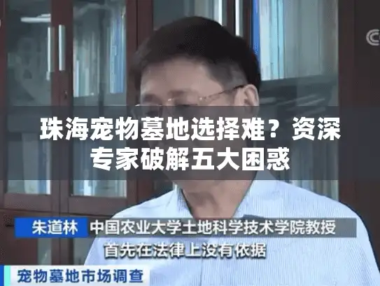 珠海宠物墓地选择难？资深专家破解五大困惑