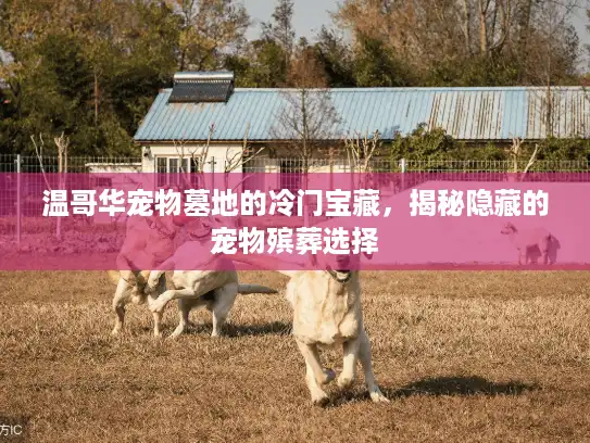 温哥华宠物墓地的冷门宝藏，揭秘隐藏的宠物殡葬选择