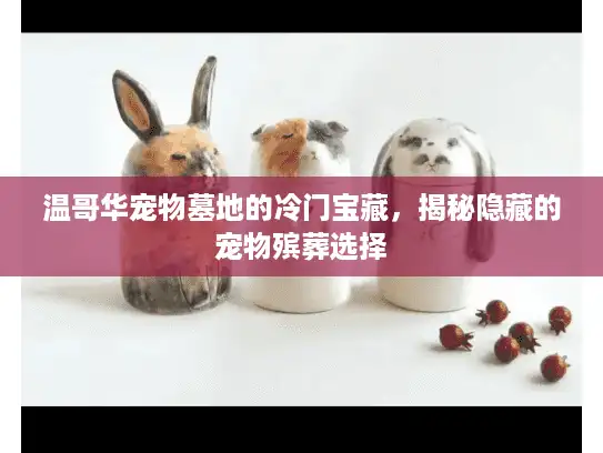 温哥华宠物墓地的冷门宝藏，揭秘隐藏的宠物殡葬选择