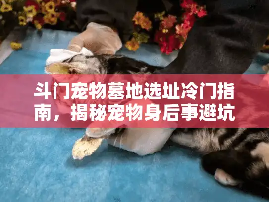斗门宠物墓地选址冷门指南，揭秘宠物身后事避坑地图