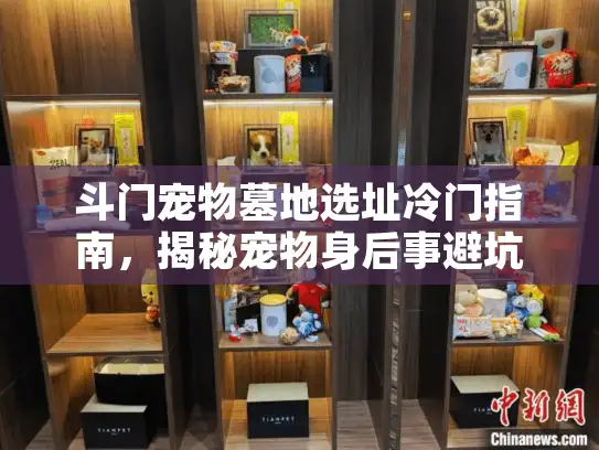 斗门宠物墓地选址冷门指南，揭秘宠物身后事避坑地图