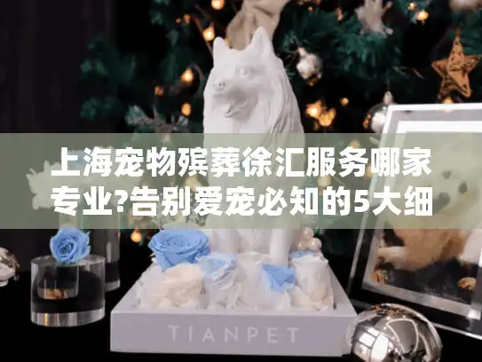 上海宠物殡葬徐汇服务哪家专业?告别爱宠必知的5大细节