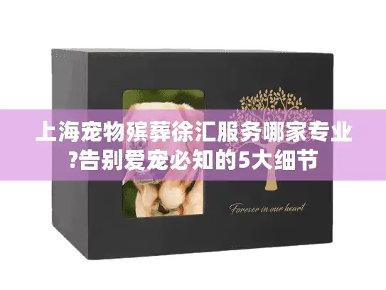 上海宠物殡葬徐汇服务哪家专业?告别爱宠必知的5大细节