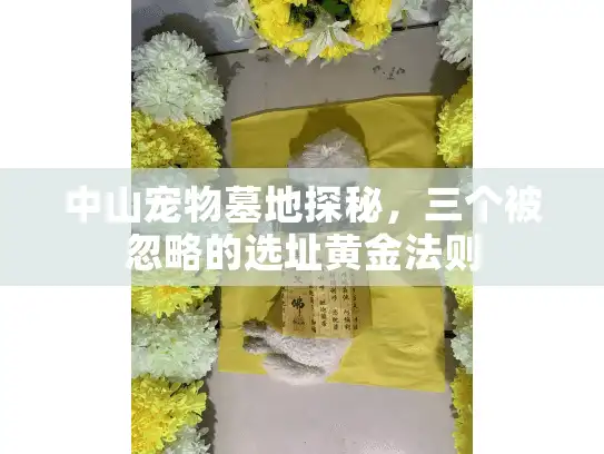 中山宠物墓地探秘，三个被忽略的选址黄金法则