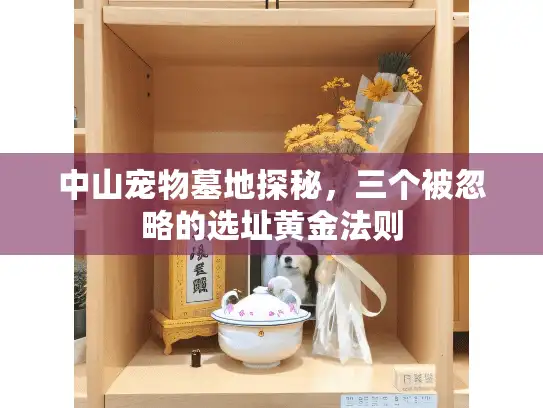 中山宠物墓地探秘，三个被忽略的选址黄金法则