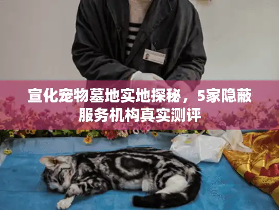 宣化宠物墓地实地探秘，5家隐蔽服务机构真实测评