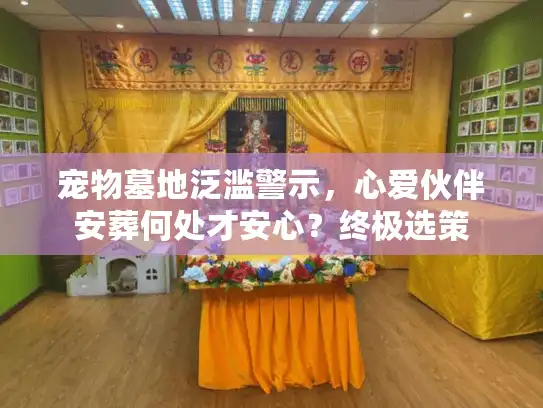 宠物墓地泛滥警示，心爱伙伴安葬何处才安心？终极选策