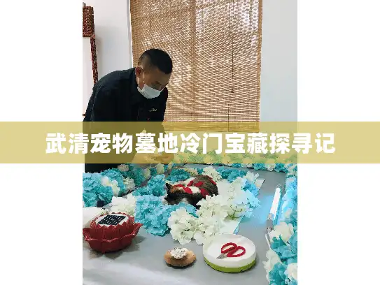 武清宠物墓地冷门宝藏探寻记