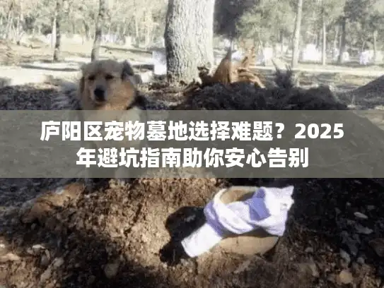 庐阳区宠物墓地选择难题？2025年避坑指南助你安心告别