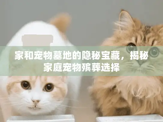 家和宠物墓地的隐秘宝藏，揭秘家庭宠物殡葬选择