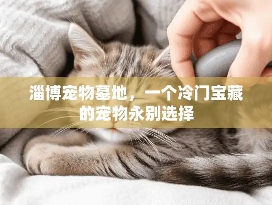 淄博宠物墓地，一个冷门宝藏的宠物永别选择