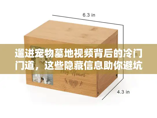 遛进宠物墓地视频背后的冷门门道，这些隐藏信息助你避坑