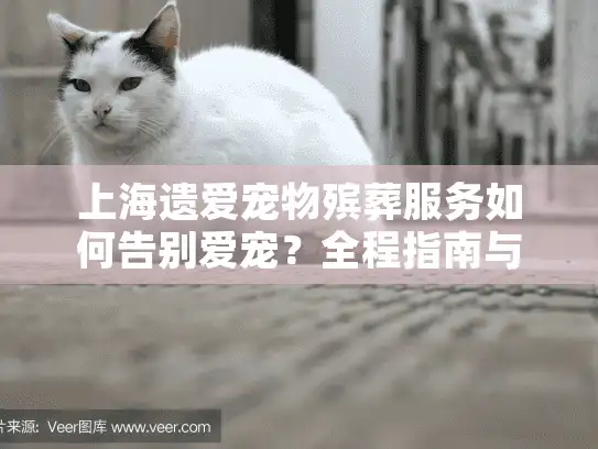 上海遗爱宠物殡葬服务如何告别爱宠？全程指南与费用揭秘