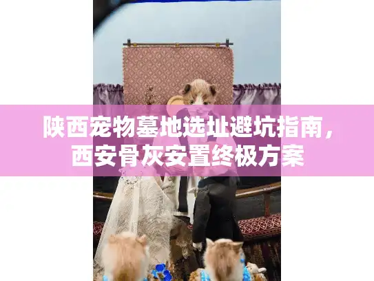 陕西宠物墓地选址避坑指南，西安骨灰安置终极方案