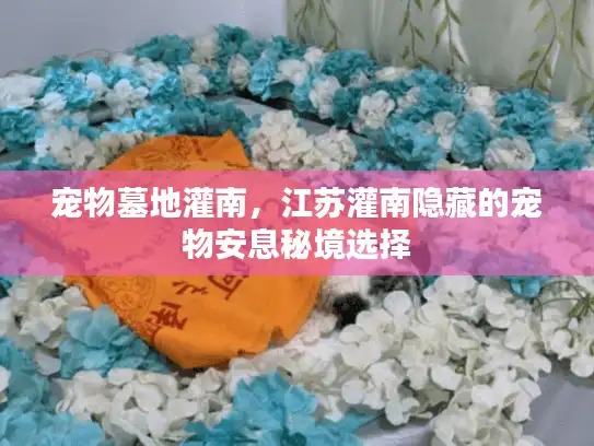 宠物墓地灌南，江苏灌南隐藏的宠物安息秘境选择