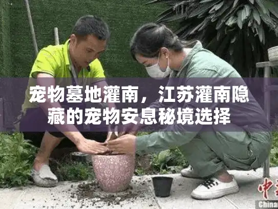 宠物墓地灌南，江苏灌南隐藏的宠物安息秘境选择