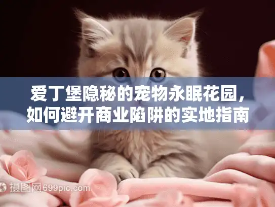 爱丁堡隐秘的宠物永眠花园，如何避开商业陷阱的实地指南
