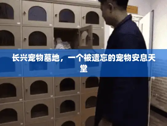 长兴宠物墓地，一个被遗忘的宠物安息天堂