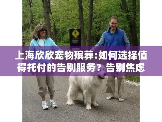 上海欣欣宠物殡葬:如何选择值得托付的告别服务？告别焦虑指南
