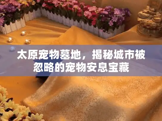 太原宠物墓地，揭秘城市被忽略的宠物安息宝藏