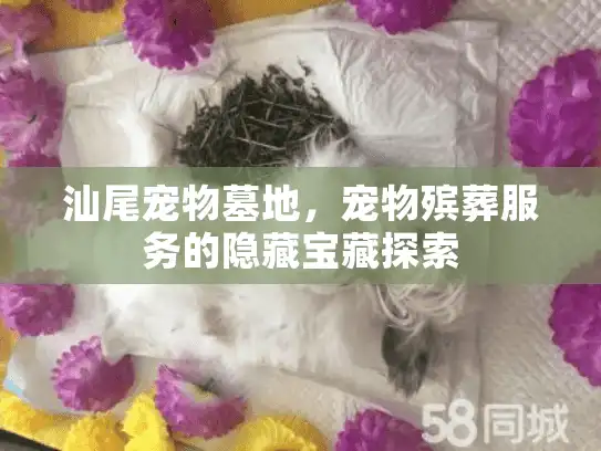 汕尾宠物墓地，宠物殡葬服务的隐藏宝藏探索
