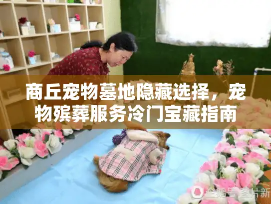 商丘宠物墓地隐藏选择，宠物殡葬服务冷门宝藏指南
