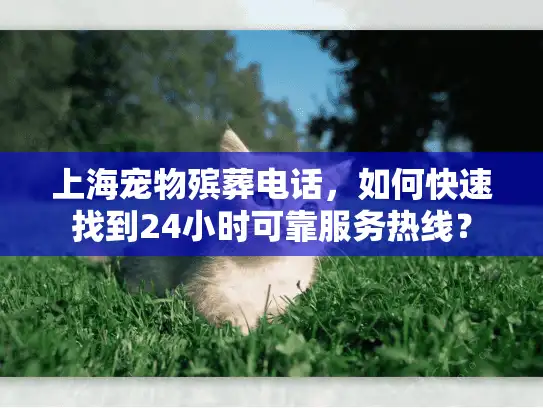 上海宠物殡葬电话，如何快速找到24小时可靠服务热线？