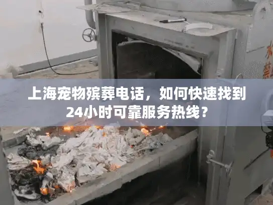 上海宠物殡葬电话，如何快速找到24小时可靠服务热线？