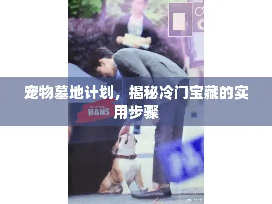 宠物墓地计划，揭秘冷门宝藏的实用步骤