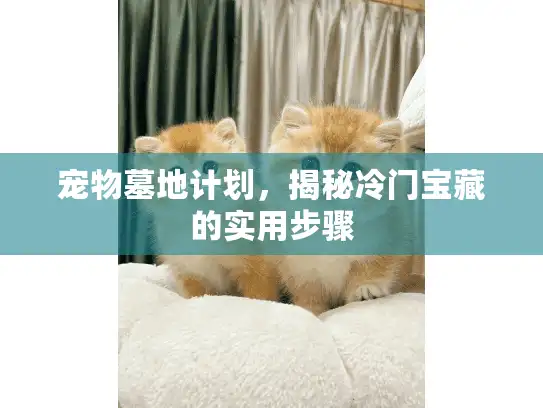 宠物墓地计划，揭秘冷门宝藏的实用步骤