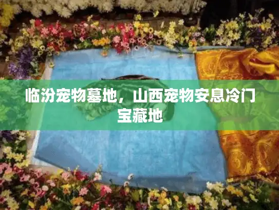 临汾宠物墓地，山西宠物安息冷门宝藏地