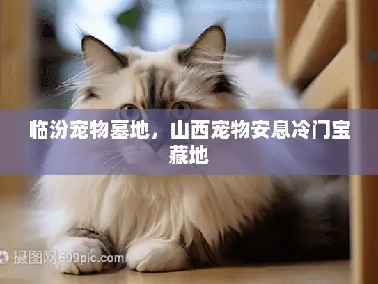 临汾宠物墓地，山西宠物安息冷门宝藏地