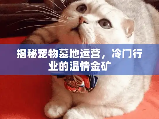 揭秘宠物墓地运营，冷门行业的温情金矿
