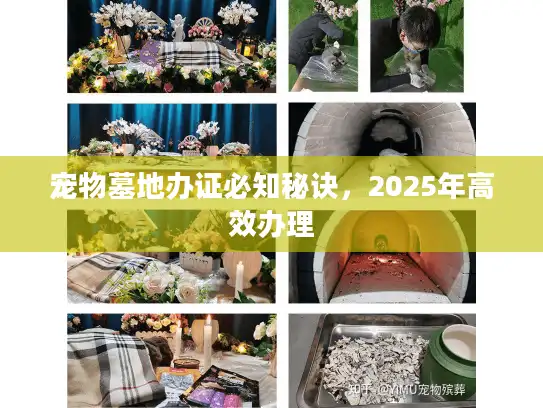 宠物墓地办证必知秘诀，2025年高效办理