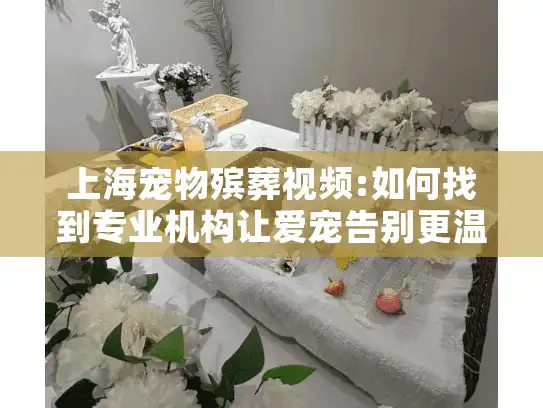 上海宠物殡葬视频:如何找到专业机构让爱宠告别更温暖?