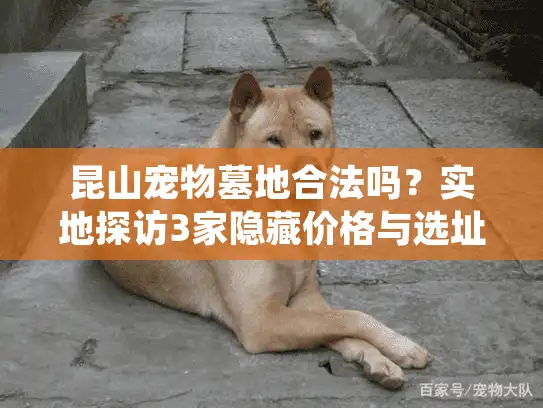 昆山宠物墓地合法吗？实地探访3家隐藏价格与选址痛点