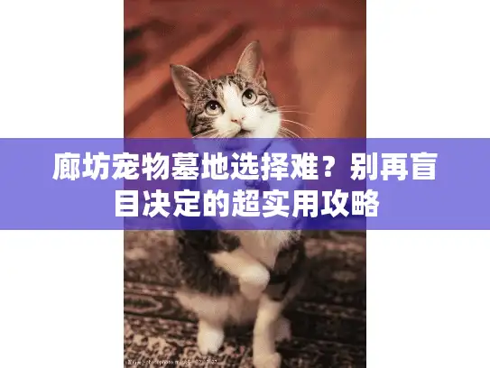 廊坊宠物墓地选择难？别再盲目决定的超实用攻略