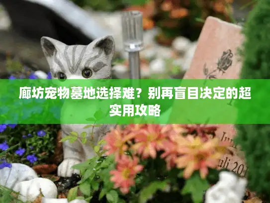 廊坊宠物墓地选择难？别再盲目决定的超实用攻略