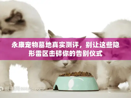 永康宠物墓地真实测评，别让这些隐形雷区击碎你的告别仪式